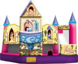 5-1 3-D Disney Princess Combo 20x20