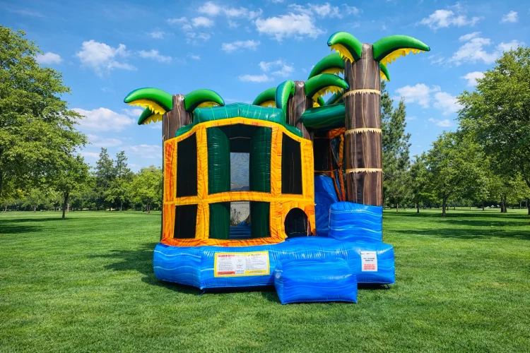 4-1 Backyard Tropical Breeze Combo Slide