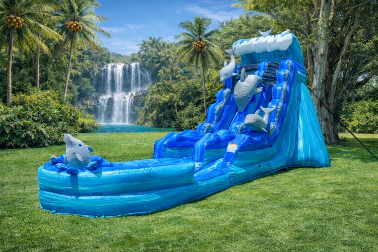 21ft' Dolphin Splash Water Slide