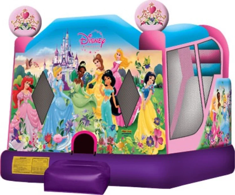 4-1 Disney Princess Combo