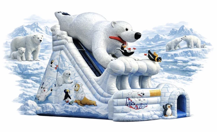 Arctic Plunge Dual Lane Slide