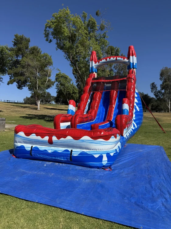 20ft Dual Lane Popsicle Waterslide
