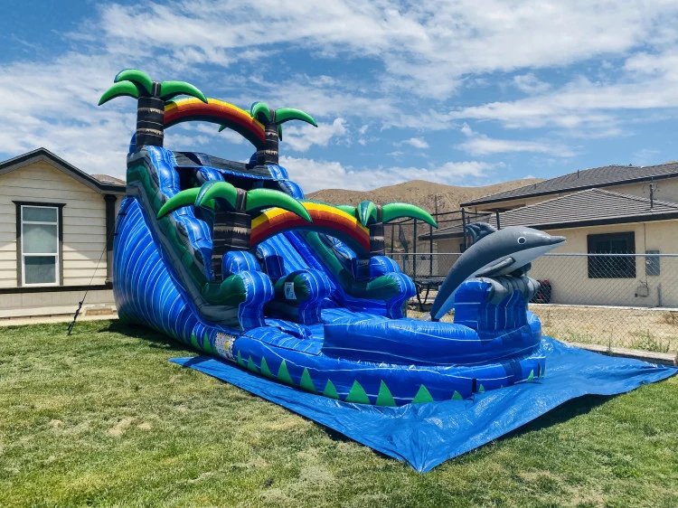 17ft Blue Marble Dolphin Waterslide