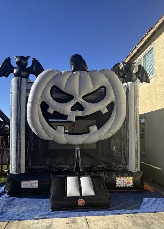 Gray Pumpkin Size 13x14.